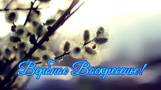 Вербное Воскресенье! Красивое Поздравление с Вербным Воскресеньем!