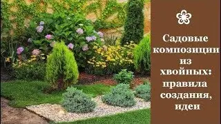 ❀ Садовые композиции из хвойных растений: правила создания, идеи
