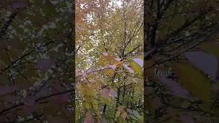 Сергей Серков - Октябрь
