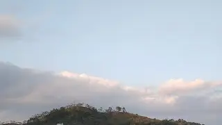 Pro RTM 211 livestream