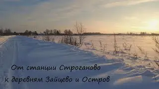 От станции Строганово к деревням Зайцево и Остров.
