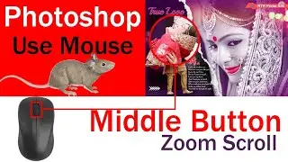 How to use zoom scroll button in any Photoshop