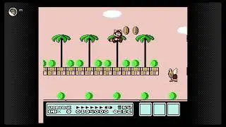 Super Mario Bros. 3 - World 2-4
