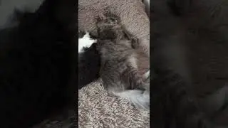 Want to know what happiness looks like? 