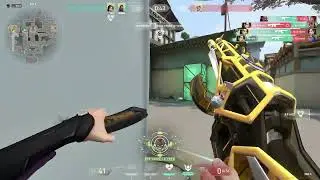Can you guess the rank? Valorant Rankdle 