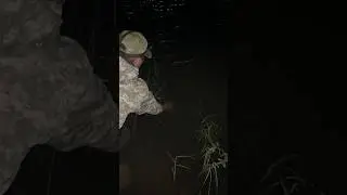 Жалко было (рыбалка судак.2024 #казахстан #fishing #красоты