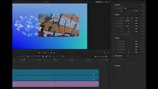 Looped Clips in DaVinci Resolve