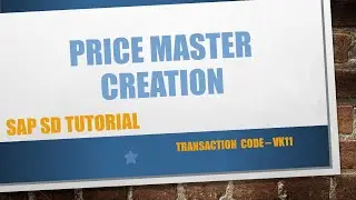 How to create Price Master/Record in SAP