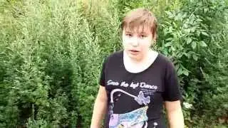 Після приступу