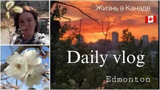 Vlog Жизнь в Канаде🇨🇦🫶работа Uber. 3 месяца