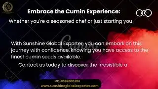 Experience the Magic of Cumin Seeds with Sunshine Global Exporter