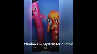 Windows 11 WSA Install