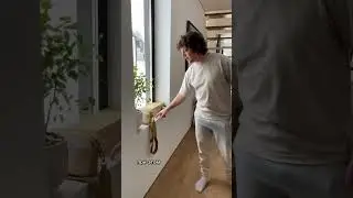 ЛУЧШИЙ ПОДОКОННИК ДЛЯ ВАШЕГО ДОМА