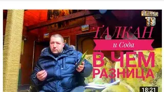 Всё о соде и талкан