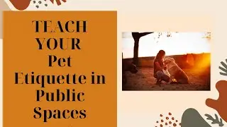 Paws and Politeness: Pet Etiquette in Public Spaces! 🐾🌟 | A Guide to Well-Behaved Pets On the Go