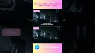 How to Remove the Soft-coded Subtitle from an MKV Video