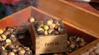 Grilled ginkgo nut - japanese street food