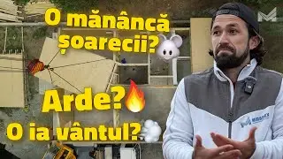 Mai merită să îți construiești o casă TIMBERFRAME în 2025?