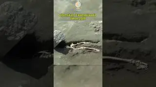 Penemuan Arkeologi menakjubkan Di pompeii italia #faktaunik #sejarah #menarik