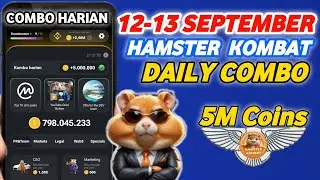 Combo Harian Hamster Kombat Hari Ini 12 - 13 September | Kombo Harian Hamster Kombat Terbaru