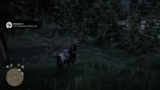 Tokyo Drift Powerslide on Horse for Challenge Completion