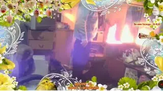 СЖЁГ ФОТОГРАФИИ. ТОТАЛЬНАЯ ВЫРАБОТКА. КАНАЛ БУХЛА И ПОЗИТИВА.