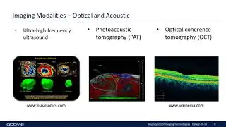 Applications of Preclinical Translational Imaging Technologies for Improved Modeling