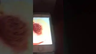 Hailey chan 120 sucks balls uttp in real life