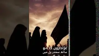 Aao Chalen Karbala | Ali Shanawar Noha 2020 | Whatsapp Status