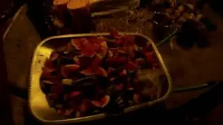 РЖАКА | Как быстро нарезать тачку арбузов.