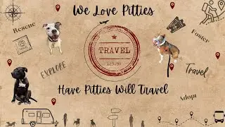 Big 2024 Trip to Maine: First Day in Bar Harbor with Have Pitties Will Travel – Happy Anniversary!