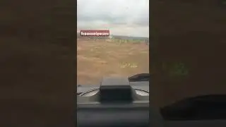 Своих не бросаем!  Алигатор!