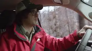 Time for Trees - Forests
