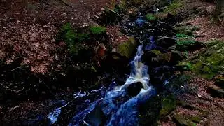 Music for the soul | музыка для души #video #priroda #природа #видео #реки #музыкадлядуши