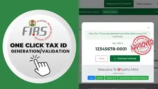 One-Click Tax ID (TIN) Generation and Activation in Nigeria