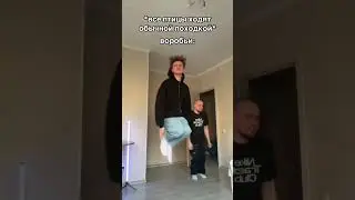 кто подписан на тг DOLINOV
