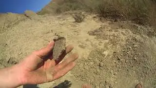 Морские берега до нашей эры: как это было - Таманский полуостров