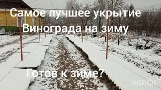 Самое лучшее укрытие винограда на зиму .Не тяни с укрытием .Укрой и спи спокойно