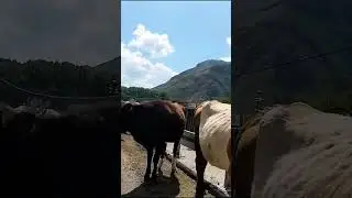 у меня из окна видно вот такие горы