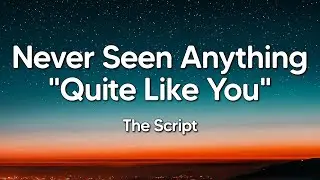 The Script - Never Seen Anything 