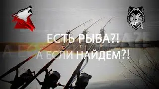 RF4! РР4! Русская Рыбалка 4! Рыбы много не бывает!)