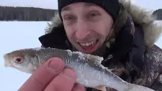зимняя рыбалка на неизвестном месте  Ловля на мормышку плотвы и окуня с прикормкой