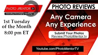 Constructive Criticism for Beginner Photographers-Creative Input on your Photography