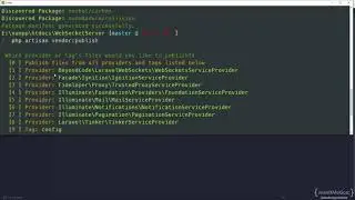 Your Own Realtime Server with Laravel WebSockets