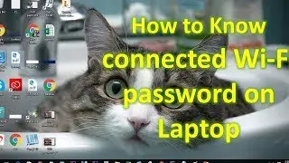How to Know your office WiFi password