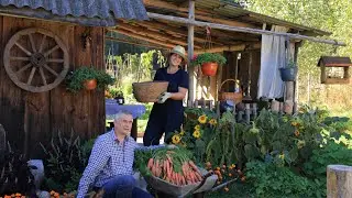 Traditional Life of a Village Family: Cooking Country Food and Harvesting Vegetables
