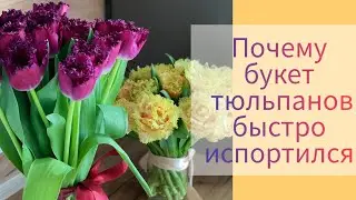 14 марта 2024 г.