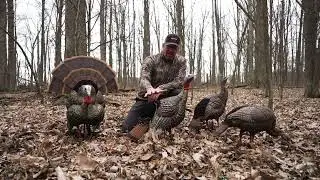 Avian X HDR Turkey Decoy Line up