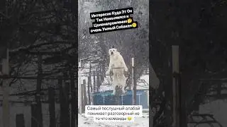 Ор😂 