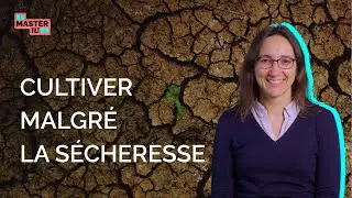 Le monde en voie de désertification ?